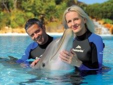 Dolphin Emotions Exclusivo - Zoo Marine