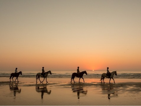 Passeio Romântico a Cavalo à Beira-mar p/2