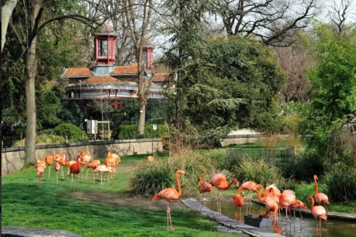 Visite de la Ménagerie, le Zoo du jardin des plantes - Billet (3-25ans)