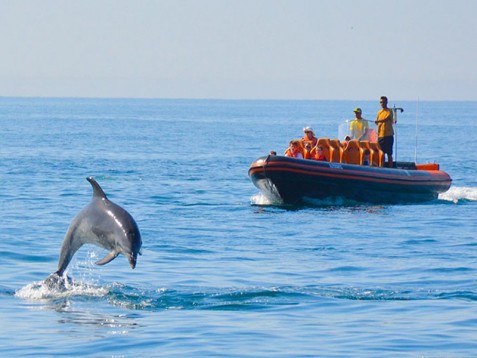 Safari de Golfinhos e Grutas p/ 2