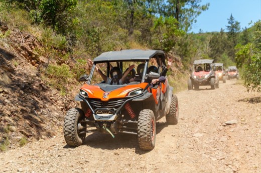 Buggy 4 Lugares