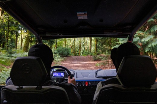 Buggy 2 lugares