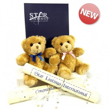 Registar uma Estrela - Pack Presente Urso