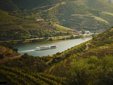 Visita Superior à Quinta Nova no Douro 