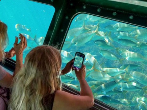 Tour em Catamaran com Fundo de Vidro em Peniche