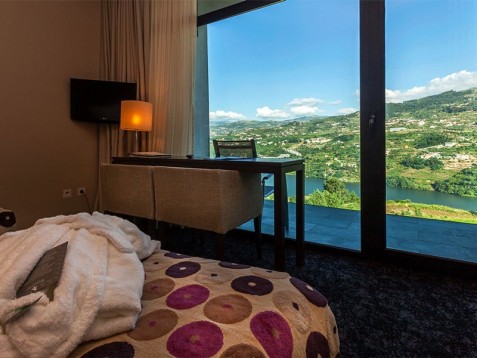 Douro Palace Hotel