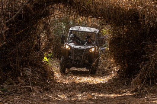 Cross Country (1h30) | Buggy de 4 lugares