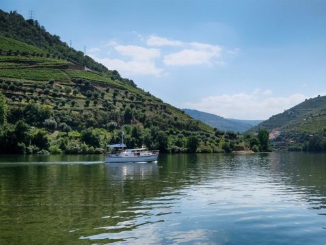 Passeio de Barco no Douro Vinhateiro c/ Vinho e Petiscos p/2