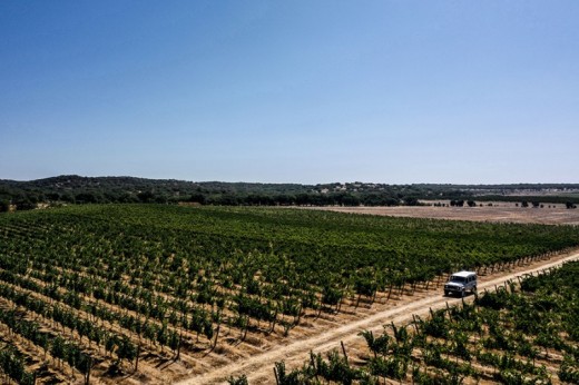 Prova de Vinhos Deluxe, Visita à Adega e Safari na Herdade de Coelheiros p/2