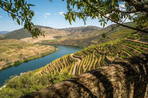 Tour Guiado Road Trip pelo Vale do Douro p/2