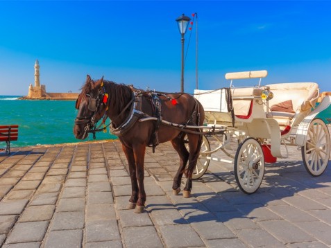 Passeio em Carroça a Cavalo à Beira-mar p/2