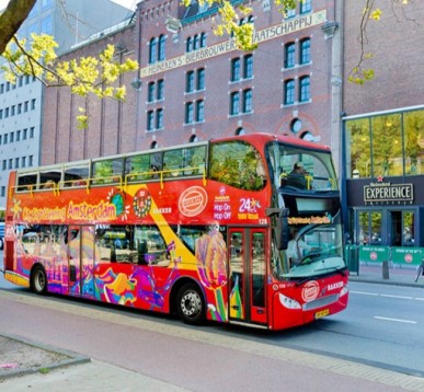 Hop on Hop off City Sightseeing Canal cruise 24 hours adult