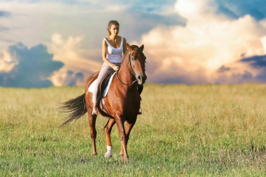 Batismo a Cavalo na Quinta do Banco