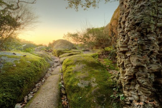 Entradas Convento dos Capuchos + Palácio Nacional de Sintra	