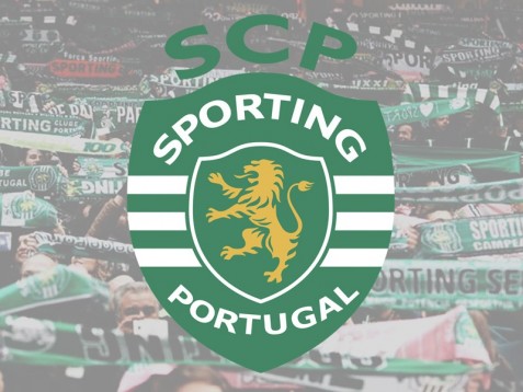 Sporting Fan Experience