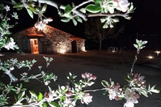 Noite na Quinta da Cabrida c/ Jantar Ancestral