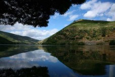 Passeio de Barco no Douro Vinhateiro c/ Vinho e Petiscos p/2