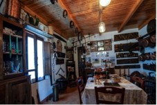Notte nello Chalet nel bosco con Visita guidata alla Tenuta - Calabria 