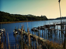 Momentos de Natureza e Bem Estar