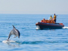 Safari de Golfinhos e Grutas no Algarve - Tarifa Criança