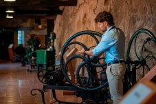 Bilhete para Tour de Tuk Tuk + Tour na Adega do vinho Porto + Cruzeiro no Douro