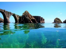 Tour em Barco com Fundo de Vidro em Peniche