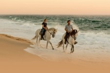 Passeio a cavalo na praia de Melides com picnic romântico