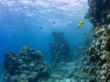 Batismo de Mergulho em Porto Covo