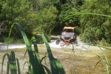Buggy Marbella