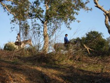 Passeio a Cavalo na Serra