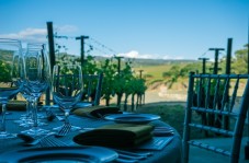 Almoço Vínico na Herdade de Coelheiros