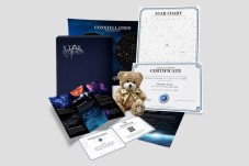 Registar uma Estrela - Pack Presente Urso