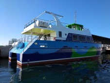 Tour em Catamaran com Fundo de Vidro em Peniche