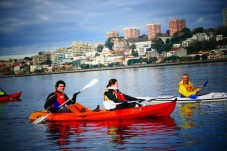 Tour de Kayak no rio Douro