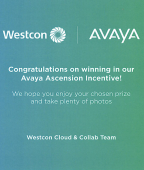 Voucher Westcon Avaya - Prémio Evento 2º Lugar