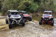 Rota de Buggy por Marbella