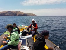 Saída de Pesca Embarcada em Peniche p/até 6