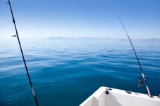 Pesca embarcada no Algarve (3 horas)