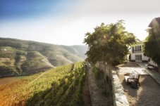 Visita Premium à Quinta Nova no Douro com Almoço