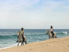 Passeio a Cavalo à Beira Mar com Picnic Romântico na Praia p/2