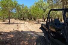 Pack Romântico Buggy na Comporta ao pôr-do-sol