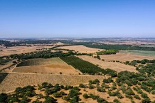 Prova de Vinhos e Passeio de Jipe na Herdade de Coelheiros