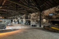 Caves Burmester - Visita Premium