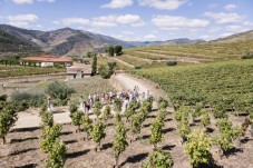 Caves de Vinho do Porto Croft