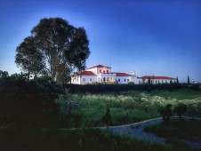 Prova de vinhos e petiscos alentejanos para 2 pessoas