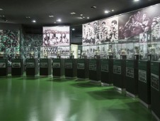 Sporting Fan Experience