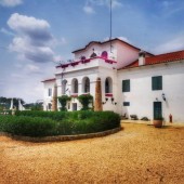 Prova de vinhos e petiscos alentejanos para 2 pessoas