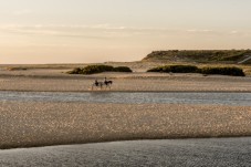 Passeio Romântico a Cavalo à Beira-mar p/2 em PRIVADO