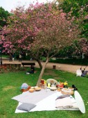 Picnic Romance no Jardim da Estrela, Lisboa