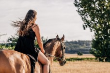 Passeio a Cavalo pelo Campo